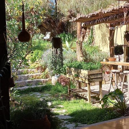 Apartamento En El Vivero 틸카라 외부 사진