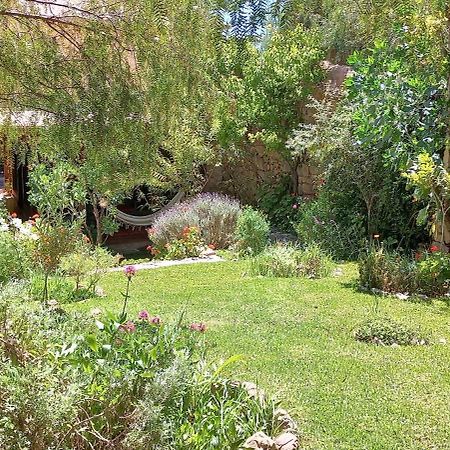 Apartamento En El Vivero 틸카라 외부 사진