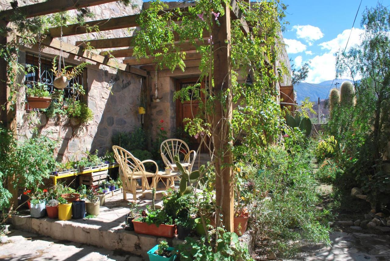 Apartamento En El Vivero 틸카라 외부 사진