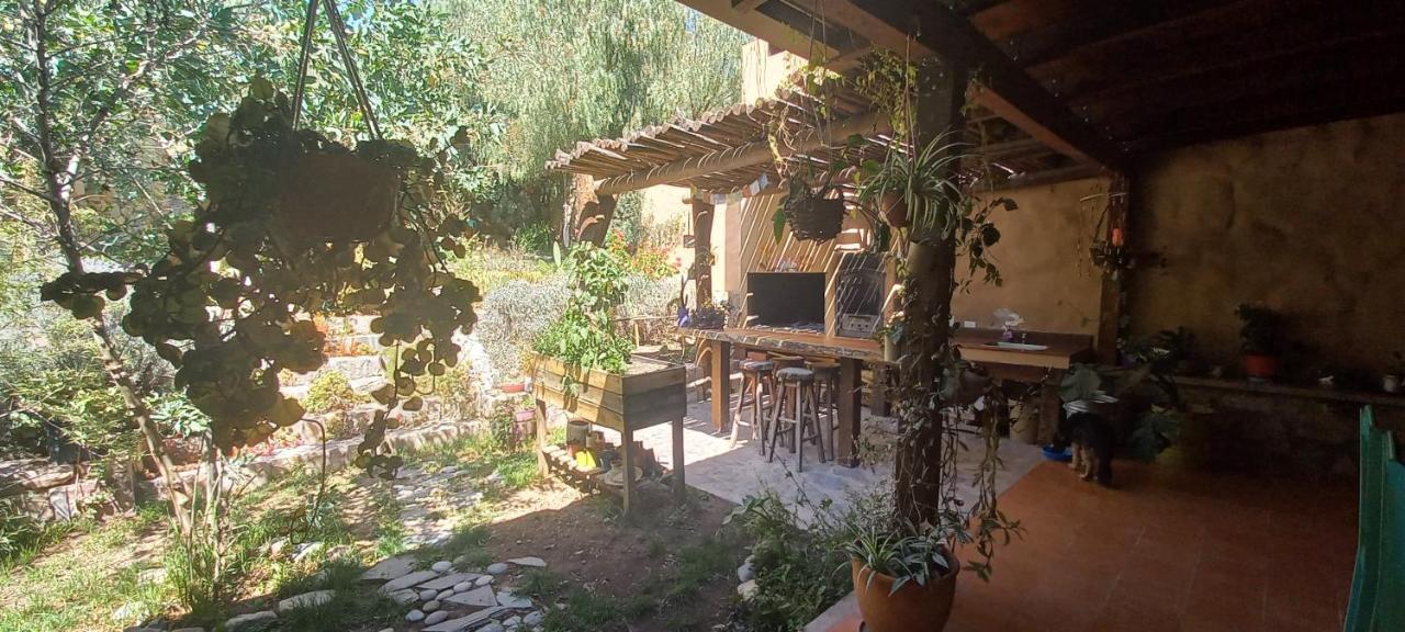 Apartamento En El Vivero 틸카라 외부 사진