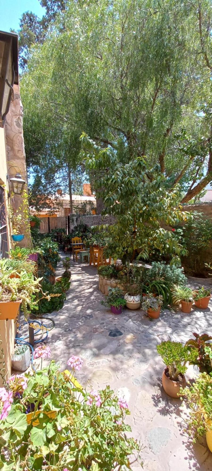 Apartamento En El Vivero 틸카라 외부 사진
